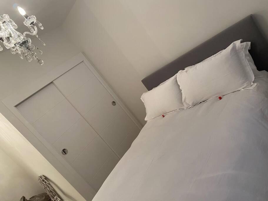 Unrivalled Location - Five Star - Worcester Apartment Eksteriør bilde