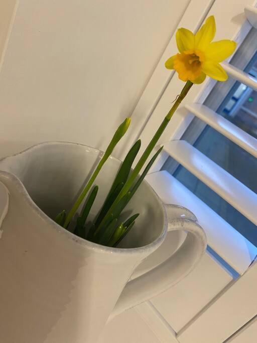 Unrivalled Location - Five Star - Worcester Apartment Eksteriør bilde